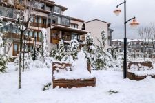 BOLU’NUN GÖZDESİ NARVEN