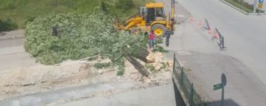 "BUNLARIN DERDİ HER ŞEYE KARŞITLIK"