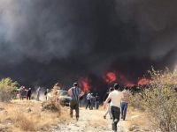 BÜYÜK ORMAN YANGINI, BİR İLÇE AYAKTA