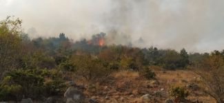 BÜYÜK ORMAN YANGINI, BİR İLÇE AYAKTA