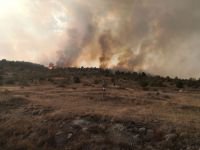 BÜYÜK ORMAN YANGINI, BİR İLÇE AYAKTA