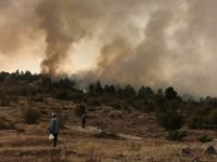 BÜYÜK ORMAN YANGINI, BİR İLÇE AYAKTA