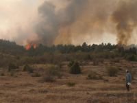 BÜYÜK ORMAN YANGINI, BİR İLÇE AYAKTA