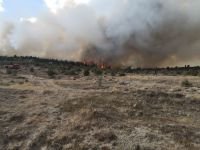 BÜYÜK ORMAN YANGINI, BİR İLÇE AYAKTA