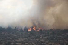 BÜYÜK ORMAN YANGINI, BİR İLÇE AYAKTA