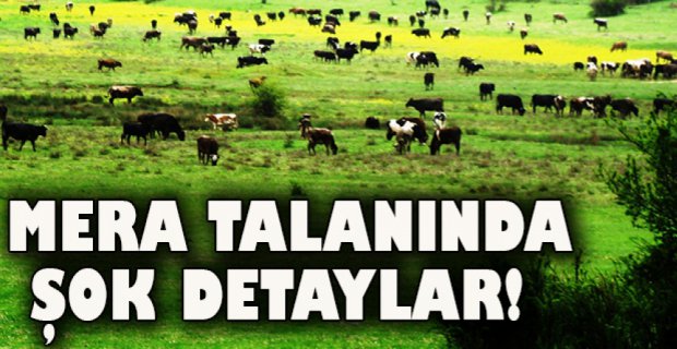 MERALAR BÖYLE TALAN EDİLDİ