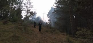 DEVRİLEN AĞAÇ YANGINA SEBEP OLDU