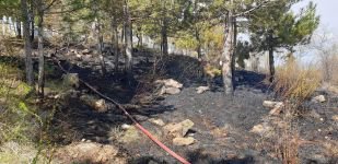 EKİPLER HEMEN MÜDAHALE ETTİ