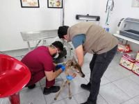 EKİPLER SEFERBER OLDU