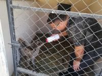 EKİPLER SEFERBER OLDU