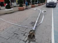 FIRTINA AĞAÇ VE DİREKLERİ DEVİRDİ