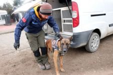 HASSAS BURUNLAR CANLA BAŞLA ÇALIŞIYOR