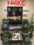 HASSAS BURUNLAR CANLA BAŞLA ÇALIŞIYOR