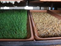 HOBİLERİ KAZANCA DÖNÜŞTÜ