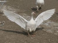 HOBİLERİ KAZANCA DÖNÜŞTÜ