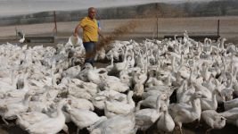 HOBİLERİ KAZANCA DÖNÜŞTÜ