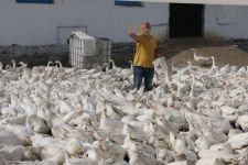 HOBİLERİ KAZANCA DÖNÜŞTÜ