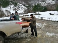 KAÇAK AVCILARA CEZA YAĞDI