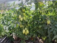 KADIN MÜHENDİSİN HAYALİ GERÇEK OLUYOR