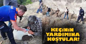 KAYALIK ALANDA MAHSUR KALDI