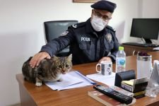 KEDİLER EMNİYETİN MASKOTU OLDU