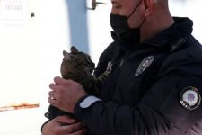 KEDİLER EMNİYETİN MASKOTU OLDU