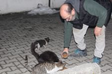 KENDİNİ SOKAK HAYVANLARINA ADADI