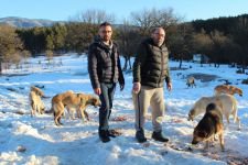 KENDİNİ SOKAK HAYVANLARINA ADADI