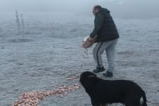 KENDİNİ SOKAK HAYVANLARINA ADADI