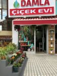 SEVDİKLERİNİZ İÇİN EN ÖZEL ÇİÇEKLER..