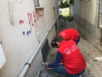 SOKAK HAYVANLARI UNUTULMADI