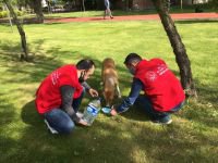 SOKAK HAYVANLARI UNUTULMADI