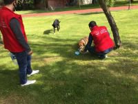 SOKAK HAYVANLARI UNUTULMADI