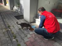 SOKAK HAYVANLARI UNUTULMADI