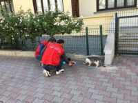 SOKAK HAYVANLARI UNUTULMADI