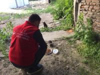 SOKAK HAYVANLARI UNUTULMADI