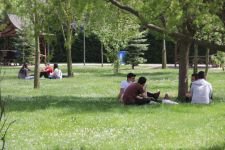 SOSYAL MESAFEYE UYMADILAR