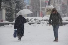 TABİATIN KALBİ KARA DOYDU