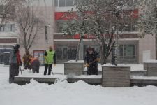 TABİATIN KALBİ KARA DOYDU