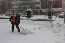 TABİATIN KALBİ KARA DOYDU