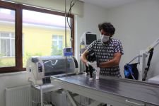 ''VATANDAŞLAR HAYVANLARINI BIRAKMASINLAR''