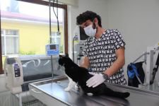 ''VATANDAŞLAR HAYVANLARINI BIRAKMASINLAR''