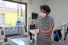 ''VATANDAŞLAR HAYVANLARINI BIRAKMASINLAR''