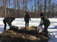 YABAN HAYVANLARI AÇ KALMASIN