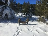 YABAN HAYVANLARI AÇ KALMASIN