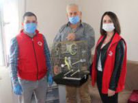 YALNIZLIĞINI KUŞLARLA PAYLAŞACAK