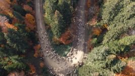 YAYLACILAR 'EVE DÖNÜŞ' YOLUNDA