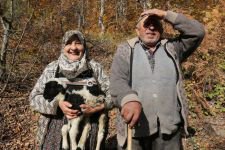 YAYLACILAR 'EVE DÖNÜŞ' YOLUNDA