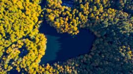 YEDİGÖLLER’DE RENK CÜMBÜŞÜ