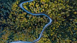 YEDİGÖLLER’DE RENK CÜMBÜŞÜ